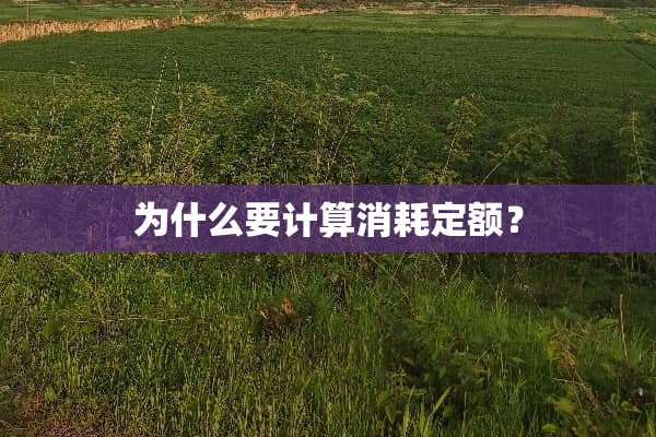 为什么要计算消耗定额？