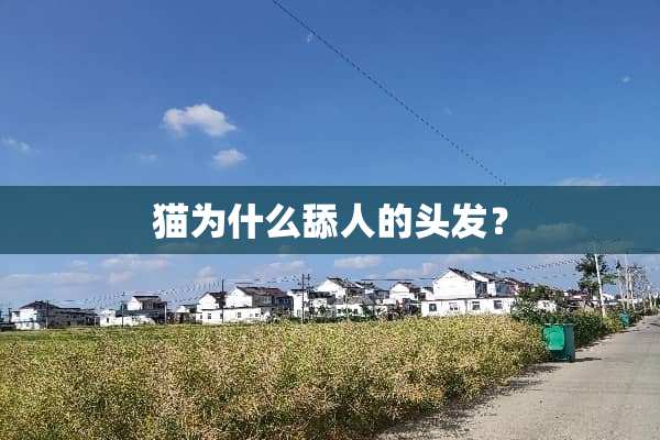 猫为什么舔人的头发？
