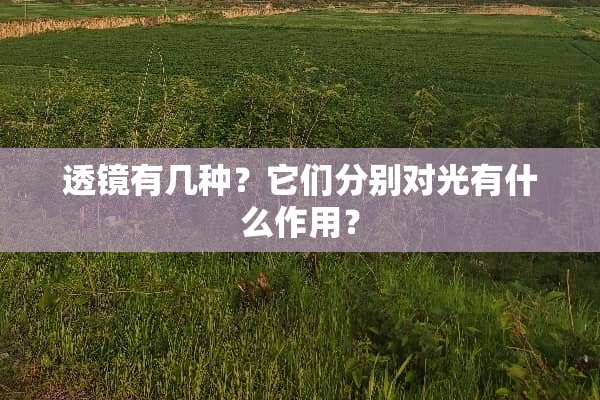 透镜有几种？它们分别对光有什么作用？