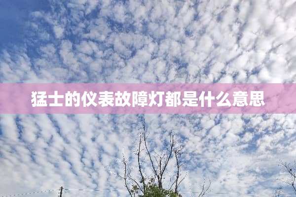 猛士的仪表故障灯都是什么意思