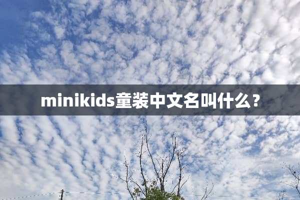 minikids童装中文名叫什么？