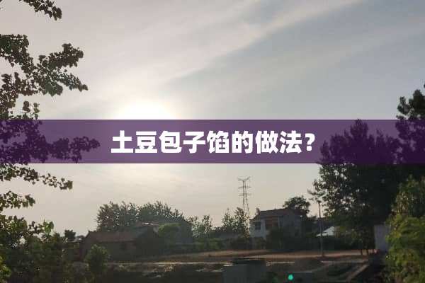 土豆包子馅的做法？