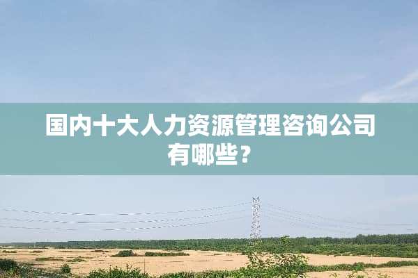 国内十大人力资源管理咨询公司有哪些？