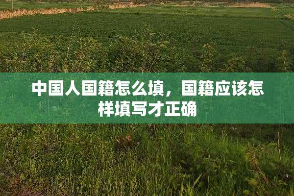 中国人国籍怎么填，国籍应该怎样填写才正确