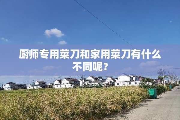 厨师专用菜刀和家用菜刀有什么不同呢？