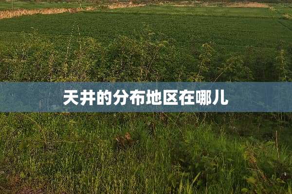 天井的分布地区在哪儿