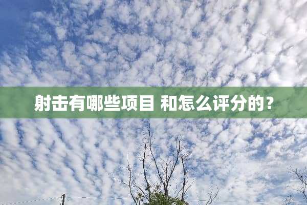 射击有哪些项目 和怎么评分的？