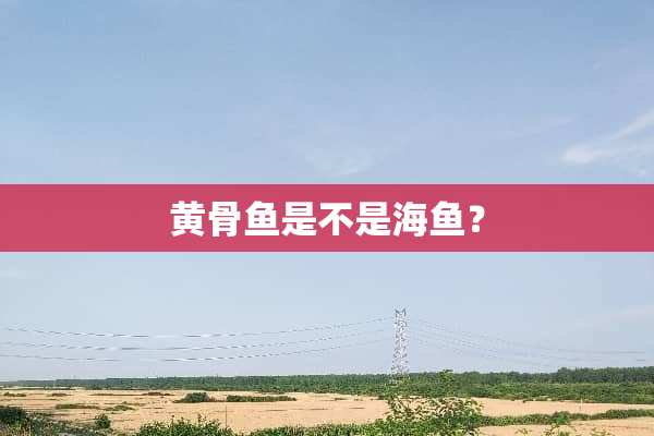 黄骨鱼是不是海鱼？