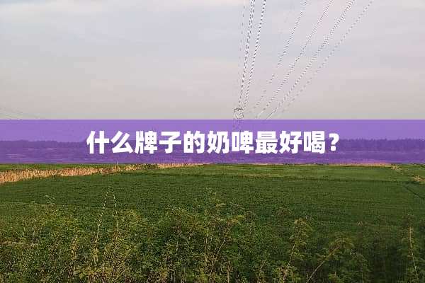 什么牌子的奶啤最好喝？