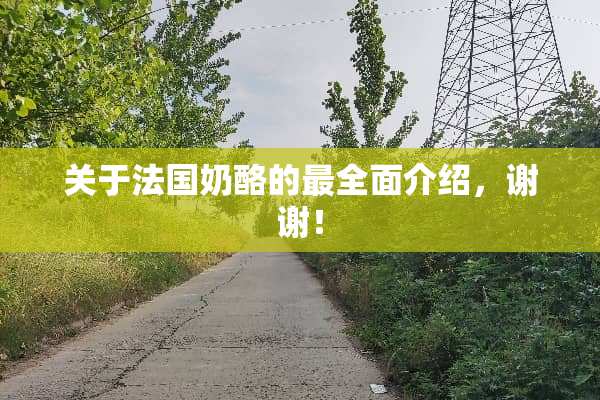 关于法国奶酪的最全面介绍，谢谢！