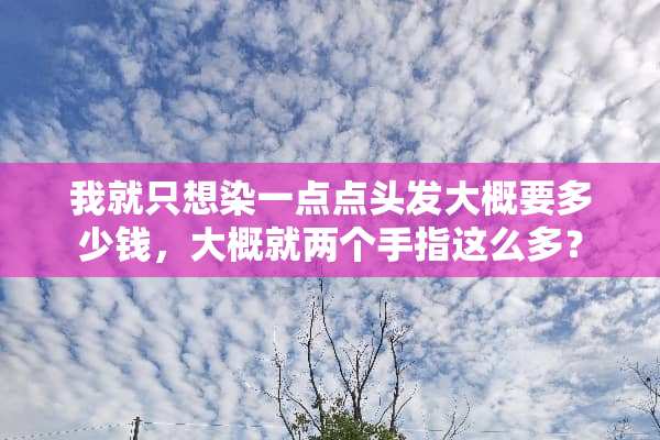 我就只想染一点点头发大概要多少钱，大概就两个手指这么多？