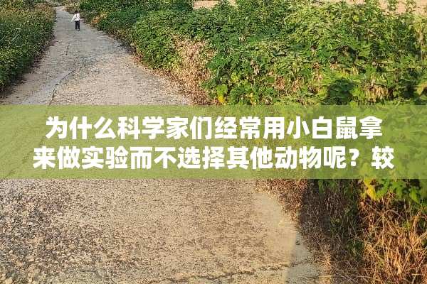 为什么科学家们经常用小白鼠拿来做实验而不选择其他动物呢？较其他动物有什么优点呢？