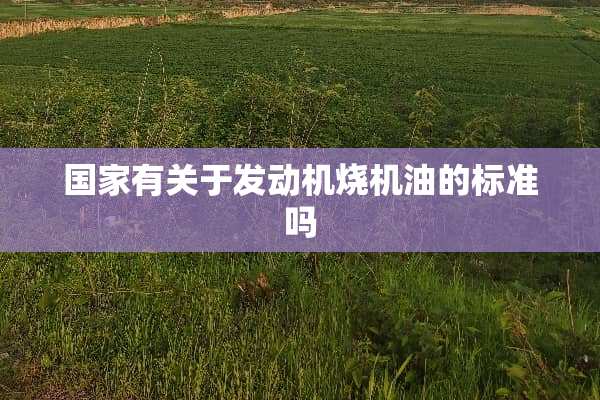 国家有关于发动机烧机油的标准吗