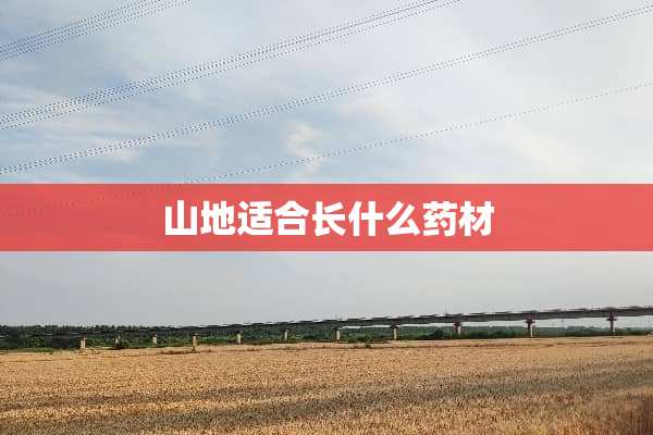 山地适合长什么药材