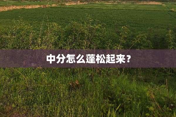中分怎么蓬松起来？