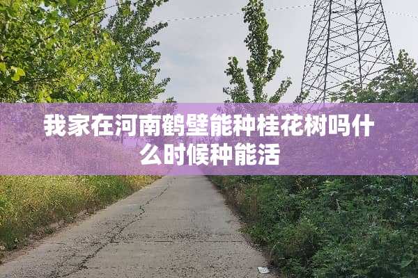 我家在河南鹤壁能种桂花树吗什么时候种能活