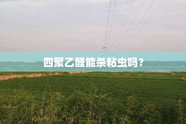 四聚乙醛能杀粘虫吗？