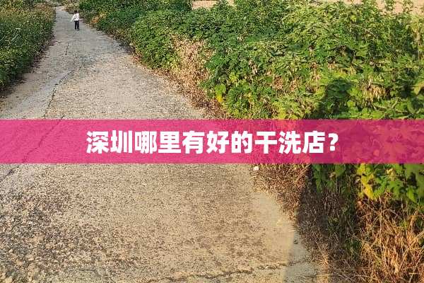深圳哪里有好的干洗店？