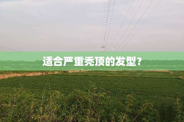 适合严重秃顶的发型？