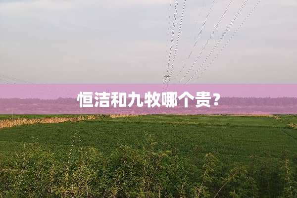 恒洁和九牧哪个贵？