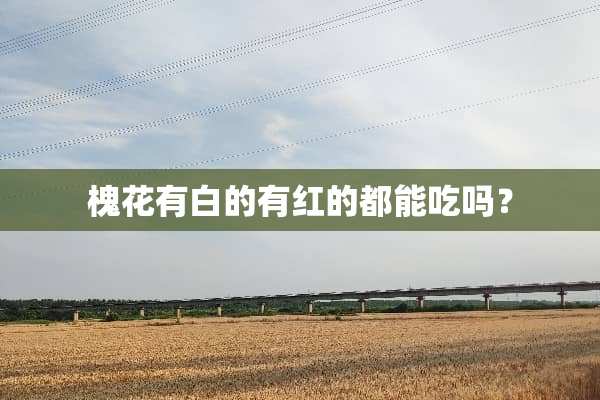 槐花有白的有红的都能吃吗？