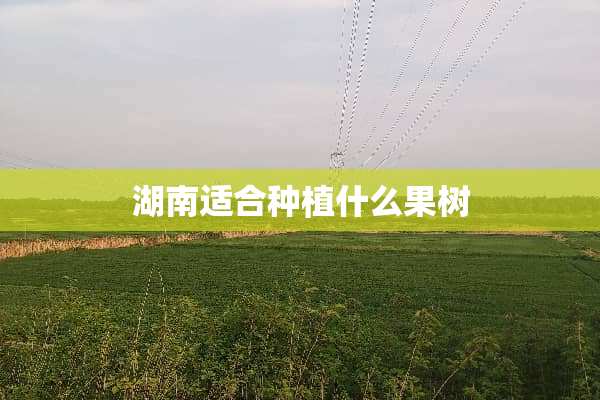 湖南适合种植什么果树