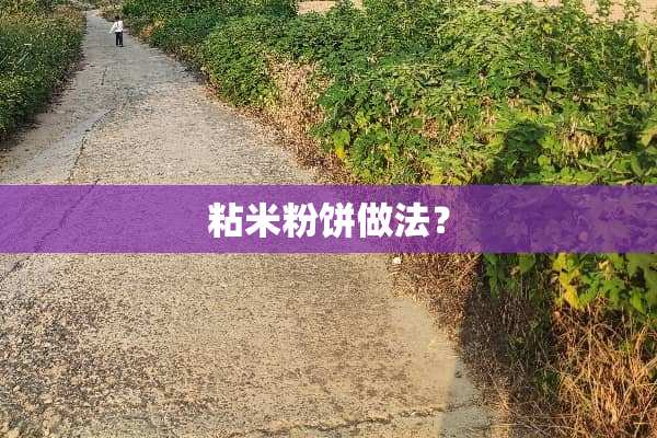 粘米粉饼做法？