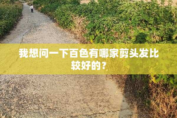 我想问一下百色有哪家剪头发比较好的？