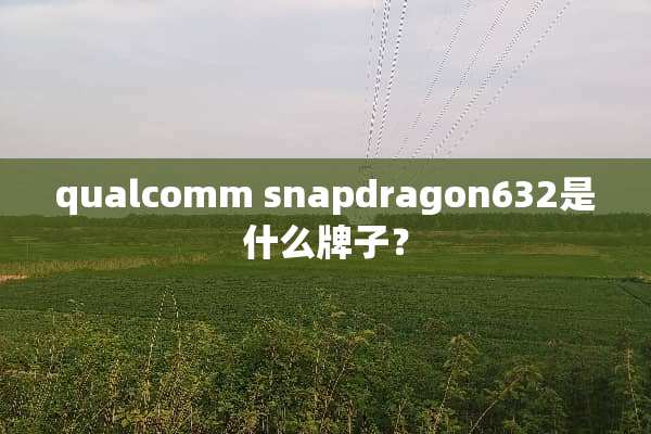 qualcomm snapdragon632是什么牌子？