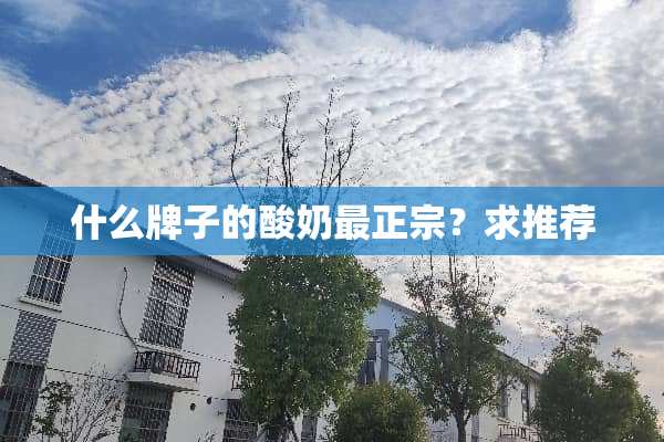 什么牌子的酸奶最正宗？求推荐