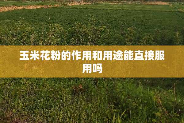 玉米花粉的作用和用途能直接服用吗