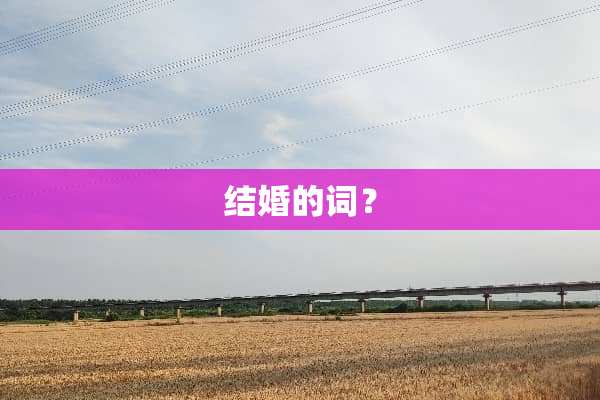 结婚的词？