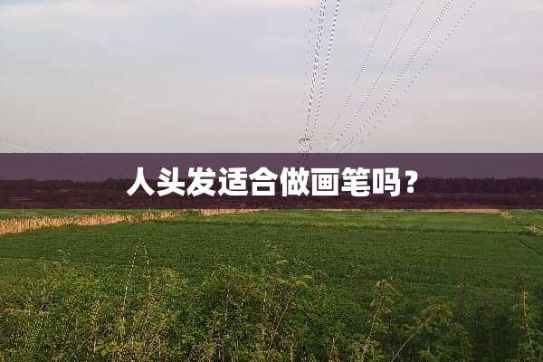 人头发适合做画笔吗？