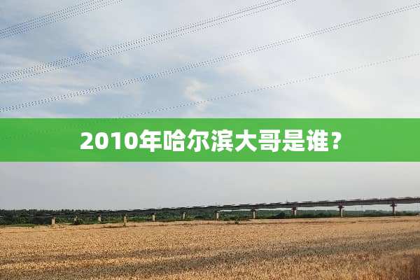 2010年哈尔滨大哥是谁？
