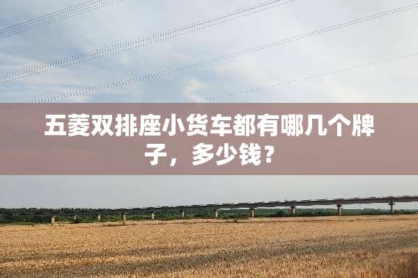 五菱双排座小货车都有哪几个牌子，多少钱？