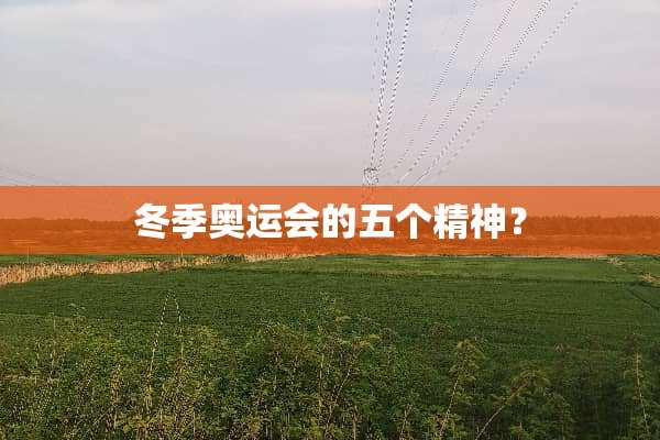 冬季奥运会的五个精神？