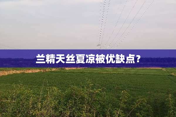 兰精天丝夏凉被优缺点？