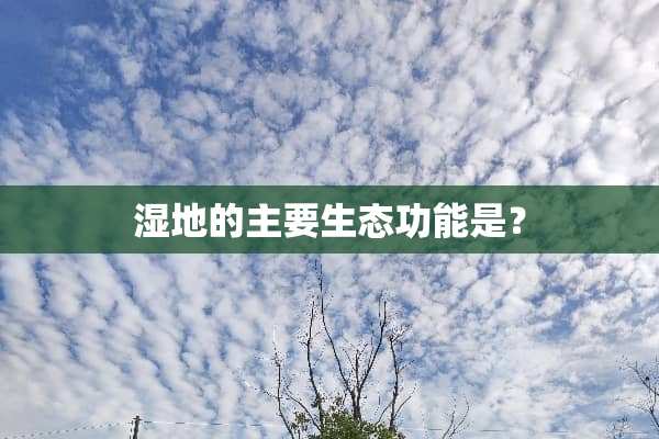 湿地的主要生态功能是？