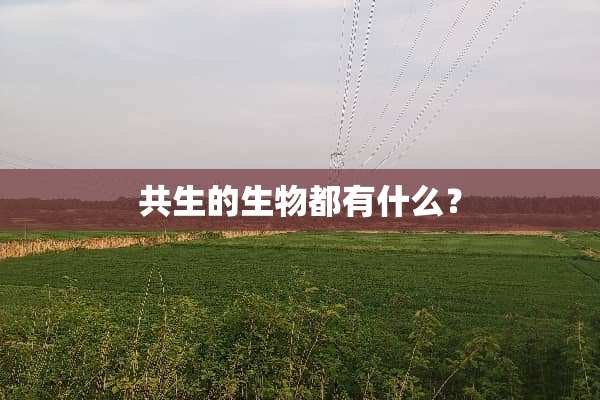 共生的生物都有什么？