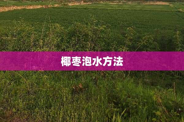 椰枣泡水方法