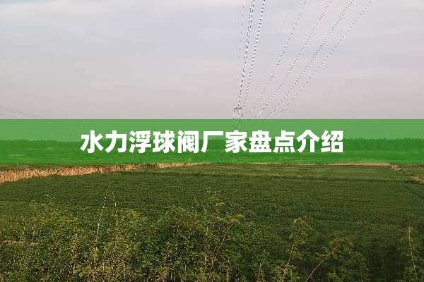 水力浮球阀厂家盘点介绍