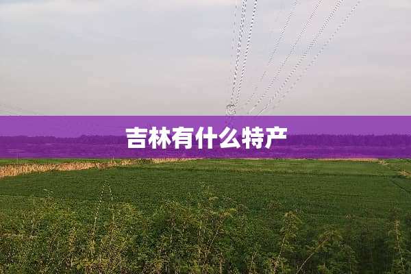 吉林有什么特产