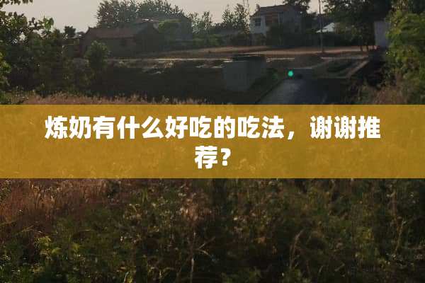 炼奶有什么好吃的吃法，谢谢推荐？