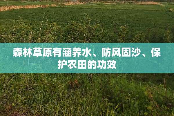 森林草原有涵养水、防风固沙、保护农田的功效