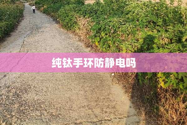 纯钛手环防静电吗