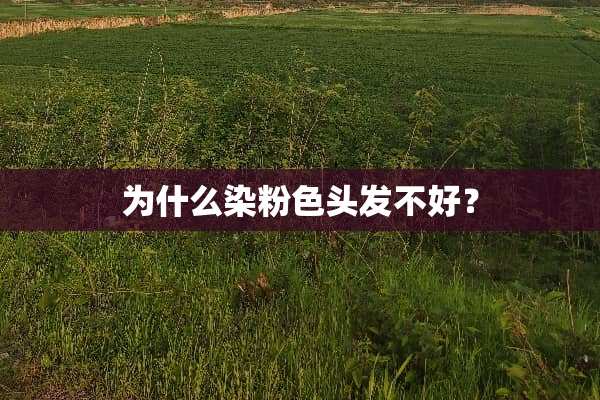 为什么染粉色头发不好？