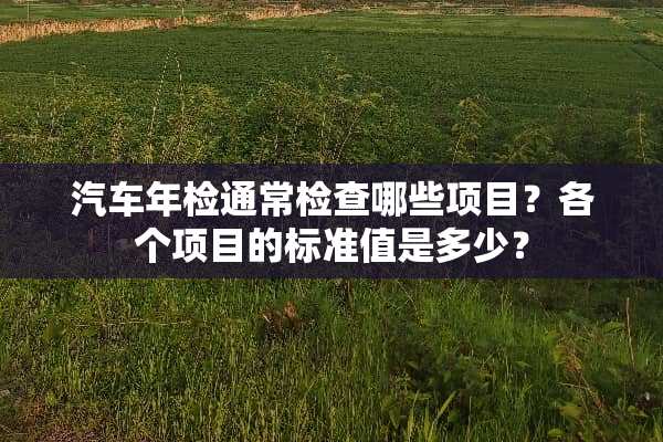 汽车年检通常检查哪些项目？各个项目的标准值是多少？