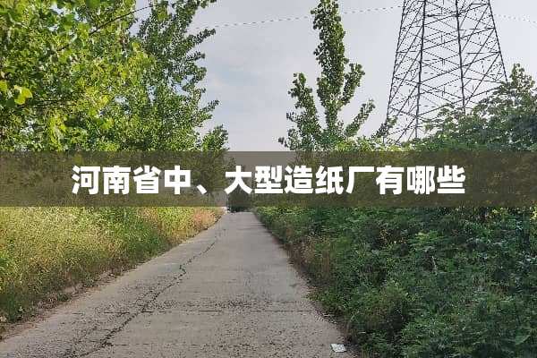 河南省中、大型造纸厂有哪些