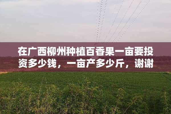 在广西柳州种植百香果一亩要投资多少钱，一亩产多少斤，谢谢