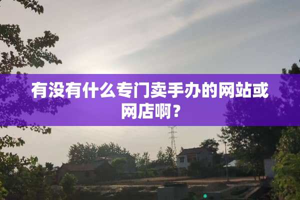 有没有什么专门卖手办的网站或网店啊？